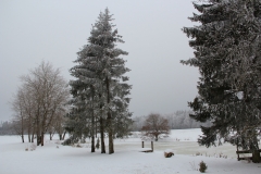 IMG_57
