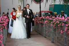Hochzeit HH 15
