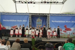 2011 - Landesgartenschau Horb (19)