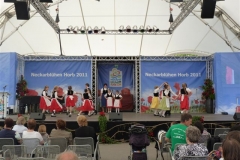 2011 - Landesgartenschau Horb (21)