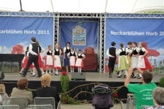 2011 - Landesgartenschau Horb (25)