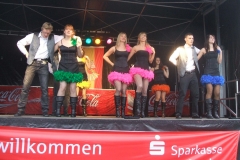 2010-Narrenmarkt3-20100207