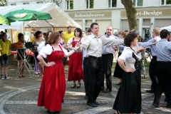 2009-05-24 - Oststadtbürgerfest (14)