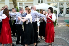2009-05-24 - Oststadtbürgerfest (16)