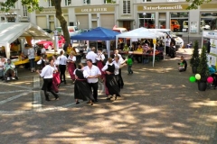 2011-06-05 - Oststadtbürgerfest (45)