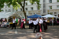 2011-06-05 - Oststadtbürgerfest (48)