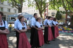 2010-06-06 - Oststadtfest (38)