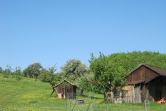 Probe-WE 2011-22