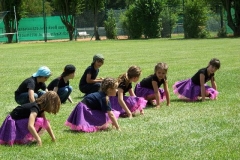 2011 - Sommerfest 11