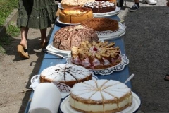 2011 - Sommerfest 33