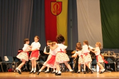 2011 - Trachtenball 3