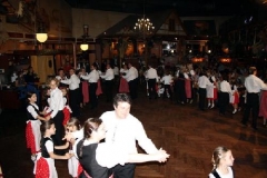 2009-10-10 - Traubenball (1)